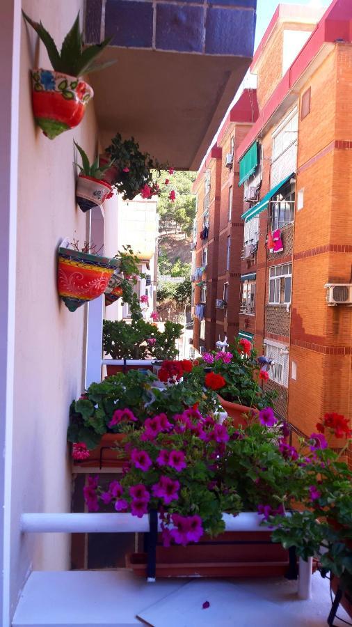 Accommodatie bij particulieren La Casa De La Abuela Rosy