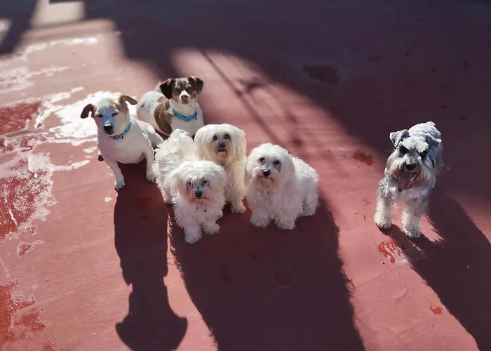 La Casa De La Abuela Rosy